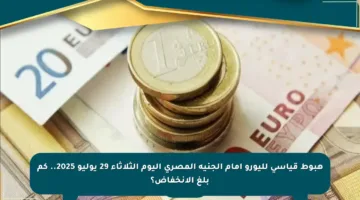 هبوط قياسي لليورو أمام الجنيه المصري اليوم الثلاثاء 29 يوليو 2025.. كم بلغ الانخفاض؟